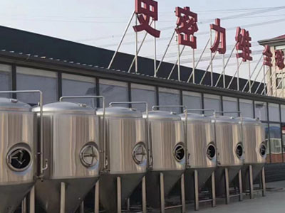 莆田精酿啤酒设备厂—市场规模与跨界新需求